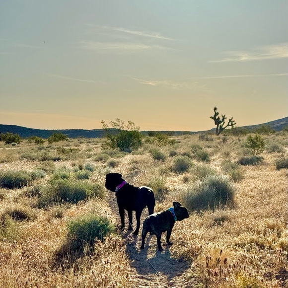 Meet your Posher, Tracie - Picture 11 of 14